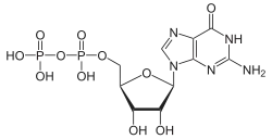 Structuurformule van guanosinedifosfaat