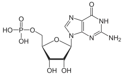 Structuurformule van guanosinemonofosfaat
