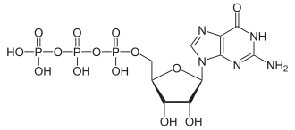 Structuurformule van guanosinetrifosfaat