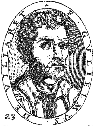 Guillaume de Villaret