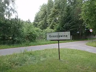 Guszczewina