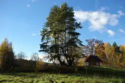 Grove den en de kapel in Härmä