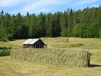 Landschap bij Ruskola