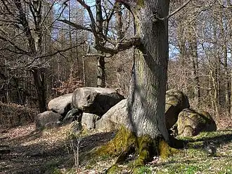 Hunebed bij Klein Görnow