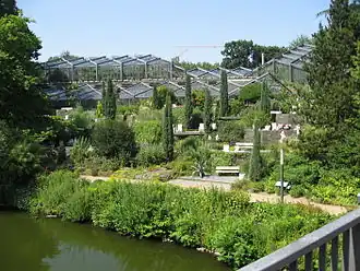 De mediterrane planten op terrassen in het park