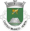 Vlag van Castelo&nbsp;Branco