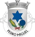 Vlag van Pedro Miguel