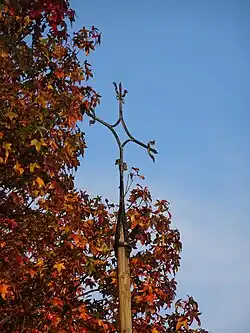Hagelkruis Beek in 2019
