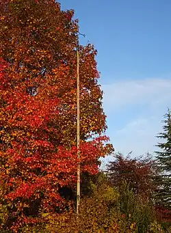 Hagelkruis Beek in 2019