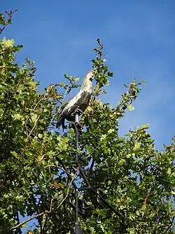 Hagelkruis Stokkum in 2019