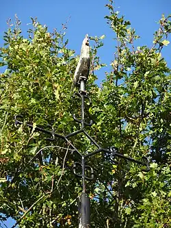 Hagelkruis Stokkum in 2019