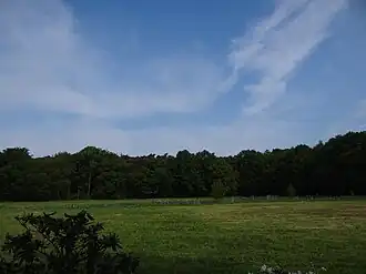 Kruisbergse bossen gezien vanaf havezate Hagen