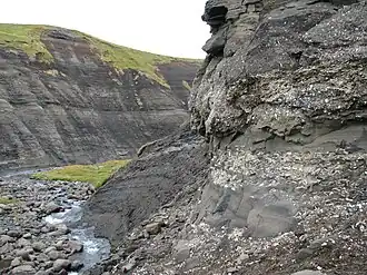 Fossielen bij Hallbjarnarstaðaá