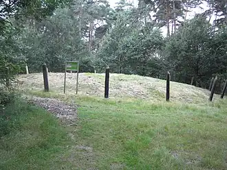 Een van de grafheuvels van Haarterheide