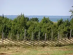 Afgebakende weide op Hanikatsi laid