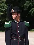 Royal Guardsman in Oslo, Noorwegen