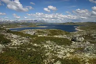Nationaal park Hardangervidda