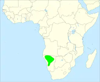 Hartlaubs frankolijn