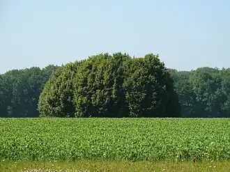 Tumulus van Havelange