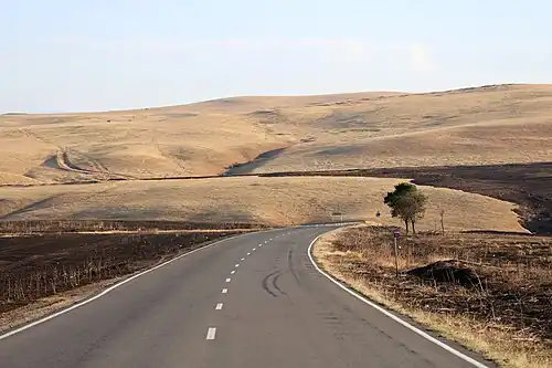 Ten zuiden van Roestavi