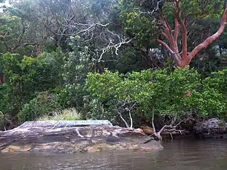 Nationaal park Popran