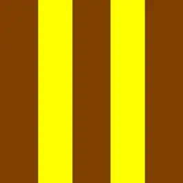 Hawthorn Football Club