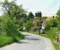 Huizen aan de zuidkant van het dorp (2011)