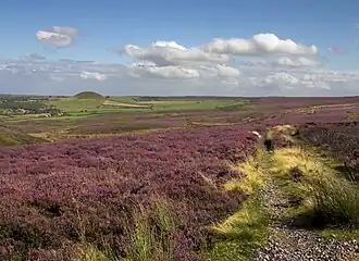 Nationaal park North York Moors