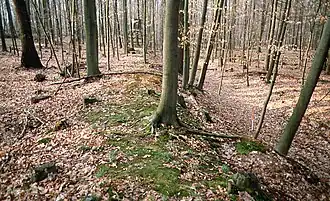 restanten van de aarden wal en de gracht (2006)