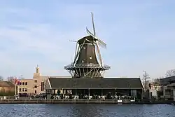 d'Heesterboom aan waterkant (Oude Rijn)