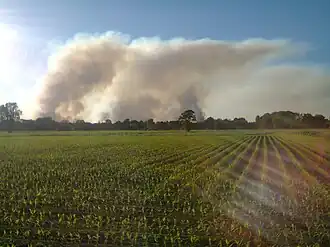 Genomen vanaf de Vogelenzang