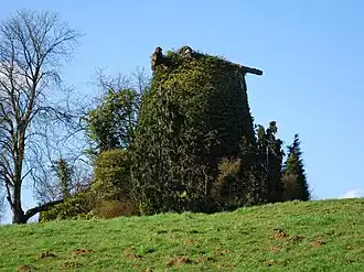 De Nieuwe Molen (2009)