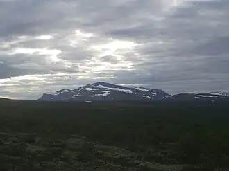 Helagsfjället in de zomer