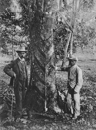 Henry Nicholas Ridley