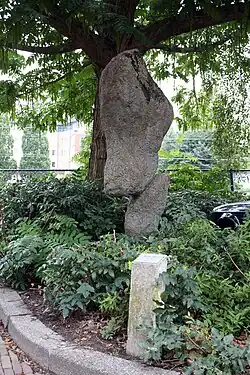 Zonder titel (1981), Groningen[2]