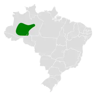 Voorspelde miersluiper