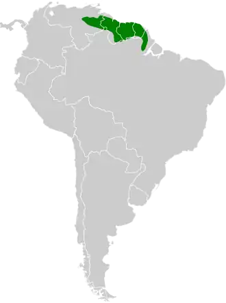 Vlekstaartmiersluiper