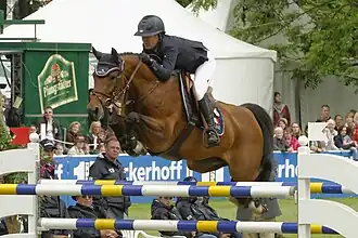 Zweedse warmbloed in springsport