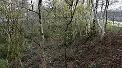 Het Greven met rechts het kanaal