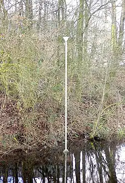 Allen Ruppersberg,1999