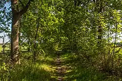 Het wandelpad over de dijk in het noordelijke gedeelte