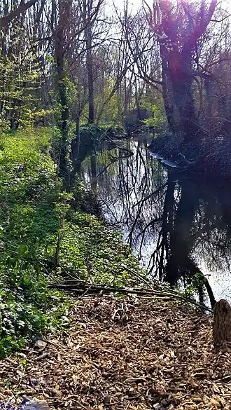 Heulebeekdomein met zicht op de Heulebeek
