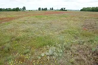 Mozaïek van droge graslandgemeenschappen