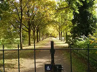 Cronebos vanaf het Tolhek