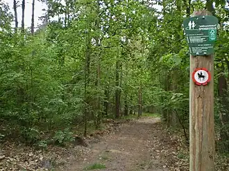 Smithuyserbos vanaf de Hollandse Sloot