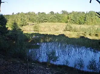 vanaf de westzijde (Bussumer Grintweg)