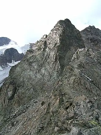 Hintergraslspitzen vanaf de Hintergrasleck. Midden in het beeld de 3268 meter hoge Hintergraslturm; rechts, verder naar achteren gelegen, de hoofdtop