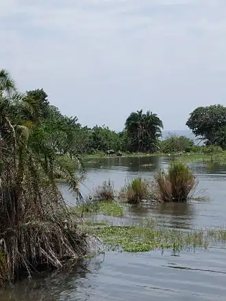 Rubondo Island National Park in Geita
