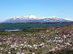 Uitzicht bij Hjalteyri