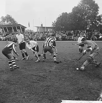 Haagsche Delftsche Mixed